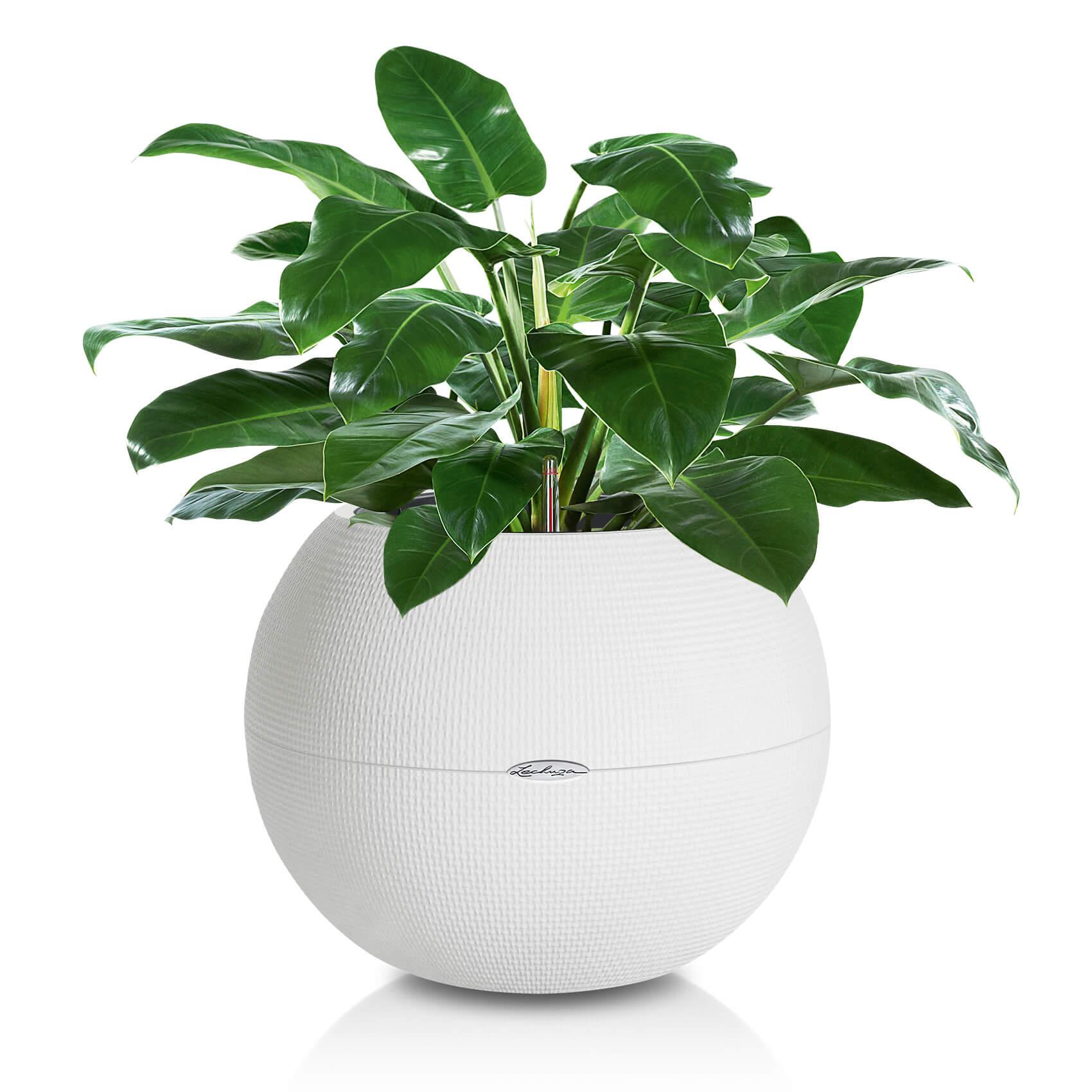 LECHUZA-PURO Color 50 white